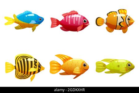 Ensemble de poissons jaunes tropicaux, récif de corail animal exotique. Collection Aquarium vie marine, vecteur illustre style de dessin animé Illustration de Vecteur