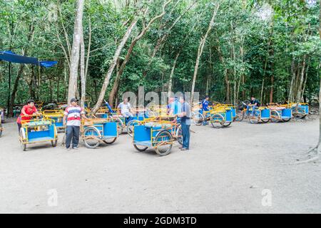 COBA, MEXIQUE - 1ER MARS 2016: Pedi-trikes les cyclistes attendent les touristes sur les ruines de la ville maya Coba, Mexique Banque D'Images