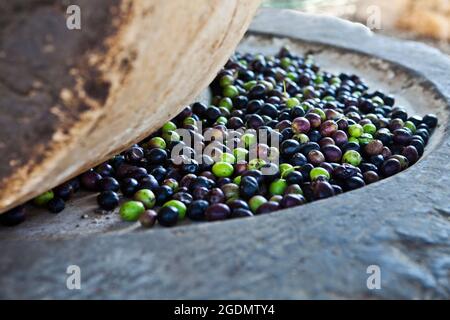 Olives dans une ancienne presse en pierre. Le sommet, lourd, de la pierre à affûter extrait l'huile des olives Banque D'Images