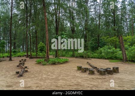 Singapour - 15 juillet 2018: Coney Island jungle clearnce Banque D'Images