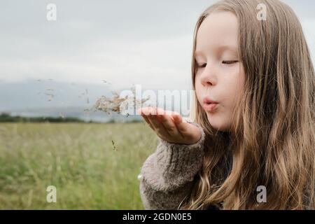 Adorable fille avec des cheveux justes soufflant des graines d'herbe de la main tout en passant la journée d'été dans la prairie Banque D'Images