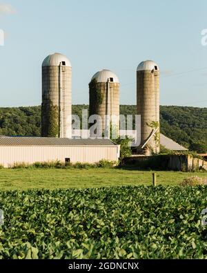 Silos sur une ferme dans le comté rural de Perry, Pennsylvanie Banque D'Images