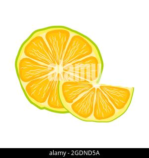 Icône en forme de citron isolée sur fond blanc. Citron vert frais. Agrumes crus. Mignons rondelles de citron vert jaune. Logo ou symbole citron. Illustration vectorielle Illustration de Vecteur