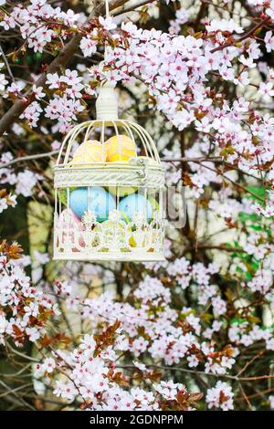 Cage d'oiseaux vintage pleine d'œufs bien droit accrochés à la branche de cerisier en fleur. Heure de printemps Banque D'Images