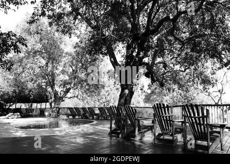 JOHANNESBURG, AFRIQUE DU SUD - 05 janvier 2021 : vue sur la piscine privée de la réserve de jeux Sabi et les chaises longues au pavillon principal de Johannesburg Banque D'Images