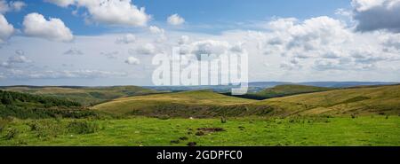 Vue vers le sud-est depuis la rue Clennell sur les collines Cheviot, Northumberland. Affichage de Simonside Hills à l'horizon. Banque D'Images