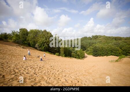 Merthry Mawr Sand Dunes, Bridgend, pays de Galles Banque D'Images