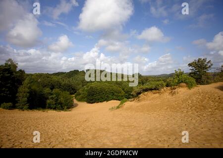 Dunes de sable de Merthyr Mawr, Bridgeend, pays de Galles Banque D'Images