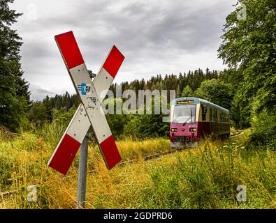 Harzer Schmalsurbahn (chemin de fer à voie étroite Harz) à Sorge, en Allemagne Banque D'Images