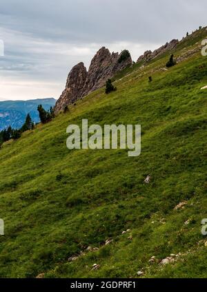 Prairie montagneuse escarpée avec formations rocheuses au-dessus d'Oberholz Hutte dans les Dolomites en Italie Banque D'Images