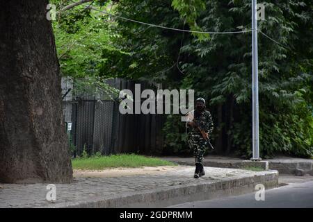 Srinagar, Inde. 14 août 2021. Un soldat paramilitaire patrouille avant le jour de l'indépendance de l'Inde à Srinagar. Comme l'Inde célèbre son 75e jour de l'indépendance le 15 août 2021, la sécurité a été renforcée au Cachemire, car les forces ont recours à la « surveillance technique », y compris l'utilisation de drones pour surveiller la situation. Crédit : SOPA Images Limited/Alamy Live News Banque D'Images