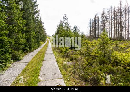 Chemin de patrouille sur l'ancien rideau de fer de la frontière intérieure allemande, Braunlage, Allemagne Banque D'Images