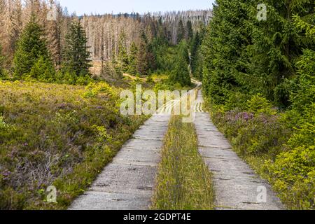 Chemin de patrouille sur l'ancien rideau de fer de la frontière intérieure allemande, Braunlage, Allemagne Banque D'Images