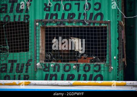 Srinagar, Inde. 14 août 2021. Un soldat paramilitaire garde la vigilance de son bunker avant le jour de l'indépendance de l'Inde à Srinagar.comme, l'Inde célèbre son 75e jour de l'indépendance le 15 août 2021, la sécurité a été renforcée au Cachemire alors que les forces ont recours à la « surveillance technique », y compris l'utilisation de drones pour surveiller la situation. (Photo de Saqib Majeed/SOPA Images/Sipa USA) crédit: SIPA USA/Alay Live News Banque D'Images