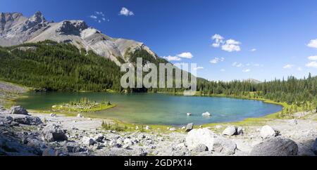 Vue panoramique sur le paysage magnifique Lac Elk, Green Alpine Evergreen Forest montagnes sauvages pics chaîne de montagnes Sawback. Randonnée en été Parc national Banff Banque D'Images