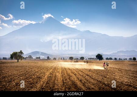 Labourage à la main des champs près de la Pico de Orizaba, Puebla, Mexique. Banque D'Images