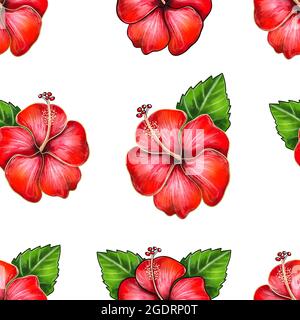 Illustration numérique du motif sans couture du bourgeon de fleurs d'hibiscus sur fond blanc isolé. Illustration de haute qualité Banque D'Images