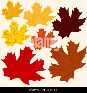 Ensemble de feuilles d'érable colorées. Feuillage d'automne. Illustration de Vecteur