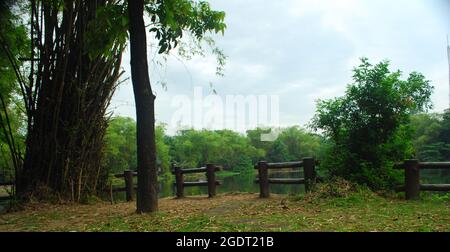 Vue panoramique sur un parc en été Banque D'Images