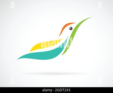 Image vectorielle d'un motif d'oiseau bourdonnement sur fond blanc, Vector Hummingbird pour votre recherche. Illustration de Vecteur