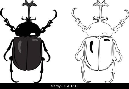Vue réaliste de dessus de Rhino Scarab ou Stag Beetle. Isolé sur fond blanc. Insectes bous vers parasites et mouches. Illustration de Vecteur