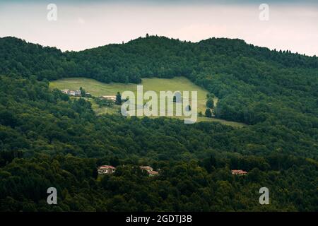 Ferme isolée dans la campagne au milieu de la forêt de pins. Paysage vert. Banque D'Images
