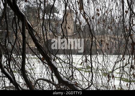 Karlsruhe, Allemagne: Jardins botaniques en hiver avec des branches en premier plan, Allemagne Banque D'Images