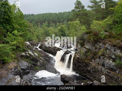 Rogie Falls, Black Water River, Ross-shire, Highlands, Écosse, Îles britanniques en été. Banque D'Images