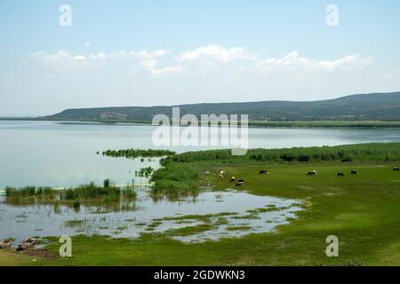 Le parc national du lac Gala, établi le 5 mars 2005, est un parc national situé dans la province d'Edirne, dans la région de Marmara, en Turquie. Banque D'Images