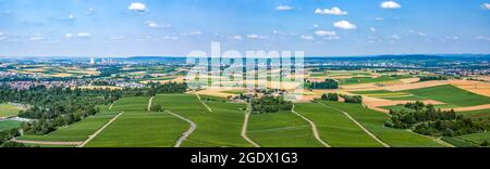 Paysage en Allemagne à Baden Wuerttemberg. Heilbronn et ses environs, vus de Heuchelberg, vignoble et avion Banque D'Images