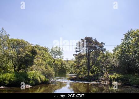 Un ruisseau qui coule doucement un après-midi de printemps, avec du soleil et des arbres sur la côte ouest de l'Irlande Banque D'Images