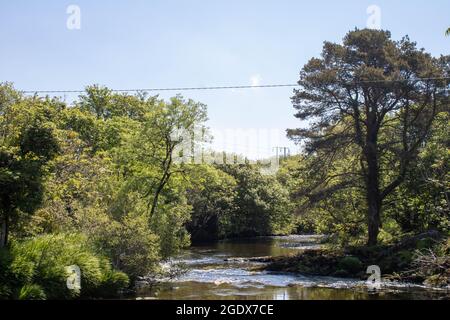 Un ruisseau qui coule doucement un après-midi de printemps, avec du soleil et des arbres sur la côte ouest de l'Irlande Banque D'Images