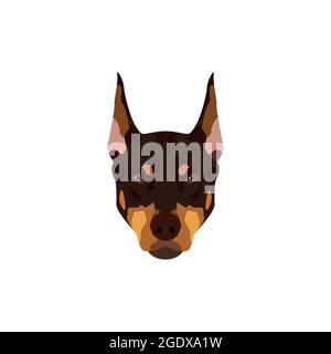 Chien Doberman Pinscher. Illustration vectorielle portrait d'un chien marron sur fond blanc. Illustration de Vecteur