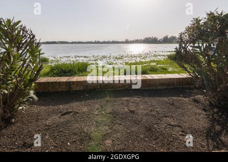 Vue sur les marais du village de Rocio, Huelva, Espagne Banque D'Images