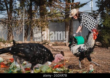 Femme paysanne nourrissant des poulets avec de la nourriture biologique dans le poulailler à la ferme de coop - Focus sur le visage Banque D'Images