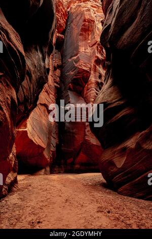 Le mur de roche orange est coloré de vernis Desert au bout D'UN canyon dans Buckskin Gulch Banque D'Images