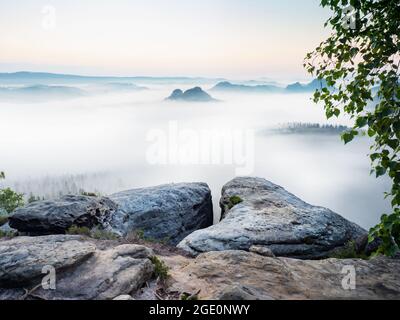 Fantastique lever de soleil rêveur au sommet de la montagne rocheuse avec vue sur la vallée de Grosser Zschand pleine de brume crémeuse. Vue sur la montagne. Parc de montagne brumeux. Rêve Banque D'Images