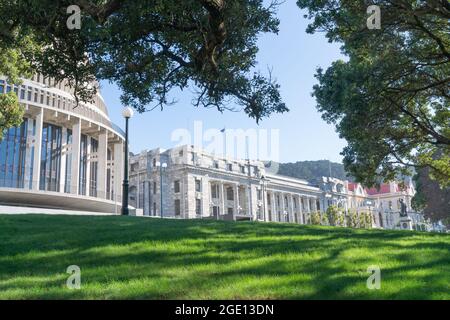 Motifs de l'ombre provenant d'arbres pohutukawa sur la pelouse des bâtiments gouvernementaux de la Nouvelle-Zélande, y compris un point de repère circulaire connu sous le nom de Beehive. Banque D'Images