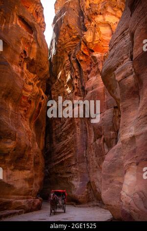 Un cheval avec une calèche dans une gorge appelée la Siq qui mène à Pétra, en Jordanie Banque D'Images