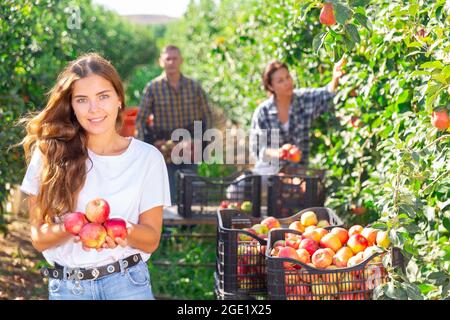 Jeune femme souriante debout dans un verger avec des pommes entre les mains Banque D'Images