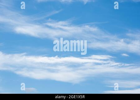 Nuages en similicuir à texture douce et véritable sur fond ciel bleu. Un jour d'été, des nuages moelleux et moelleux de différentes formes et tailles flottent lentement sur le Banque D'Images