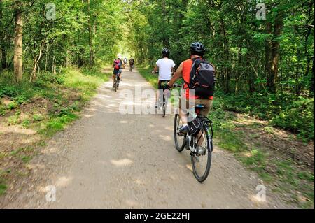 FRANCE, YVELINES (78) SMAISONS-LAFFITTE, VÉLO ÉLECTRIQUE DANS LA FORÊT DE SAINT-GERMAIN ET SUR LES RIVES DE LA SEINE Banque D'Images