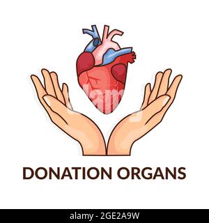 don d'organes. don de cœur pour transplantation cardiaque. illustration vectorielle icône de conception Illustration de Vecteur