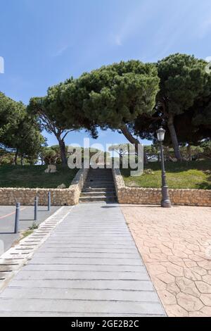 Mazagon, Huelva, Espagne; 03.16.2021: Le parc de la ville, avec une température de 20 degrés Banque D'Images