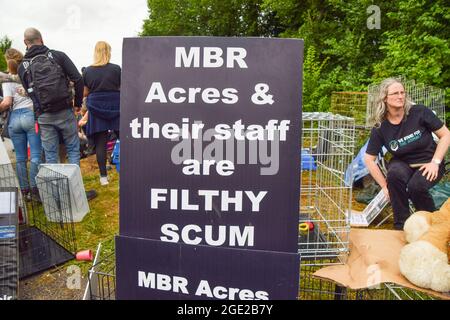 Huntingdon, Royaume-Uni. 1er août 2021. Des activistes du bien-être animal se sont rassemblés à l'extérieur du site de reproduction des beagles de MBR Acres pour demander la libération de 2000 beagles que les manifestants prétendent être utilisés dans des expériences cruelles. Des dizaines d'activistes ont également mis en place un camping à long terme à l'extérieur du site pour faire pression sur l'entreprise pour libérer les chiens et fermer les installations. Banque D'Images