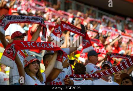 Cologne, Allemagne. 16 août 2021. Les fans de K dans le stade, élèvent leurs foulards Soccer 1. Bundesliga, 01.matchday, FC Cologne (K) - Hertha BSC Berlin (B), on 08.15.2021 à Koeln/Allemagne. #DFL règlements interdisent toute utilisation de photographies comme séquences d'images et/ou quasi-vidéo # crédit: dpa/Alay Live News Banque D'Images