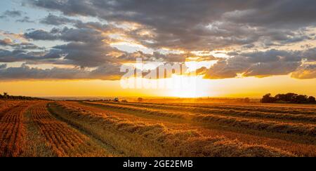 Caythorpe, Lincolnshire, Royaume-Uni. Coucher de soleil pendant la récolte sur un terrain de chaume en direction du village Banque D'Images