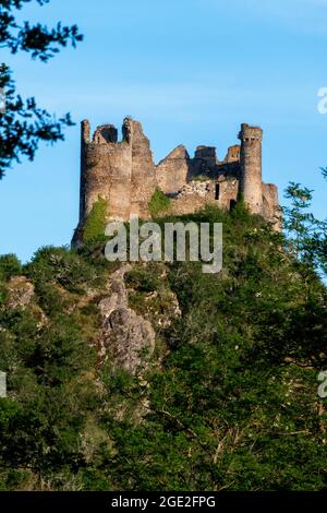 Château-Rocher, château médiéval en ruines surplombant la vallée de la Sioule, département du Puy de Dôme, Auvergne-Rhône-Alpes, France, Europe Banque D'Images