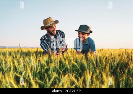 Le père et le fils sont debout dans leur champ de blé en pleine croissance. Père enseigne à son successeur l'agriculture. Banque D'Images