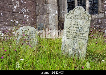 Pierre tombale d'Ann Nott, décédée à seulement 13 ans et 3 mois en 1851, dans le cimetière de la Maker Church, à Rame, dans le sud-est de Cornwall. Église de St Banque D'Images